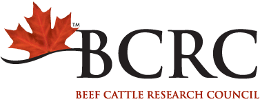 foot-logo-bcrc