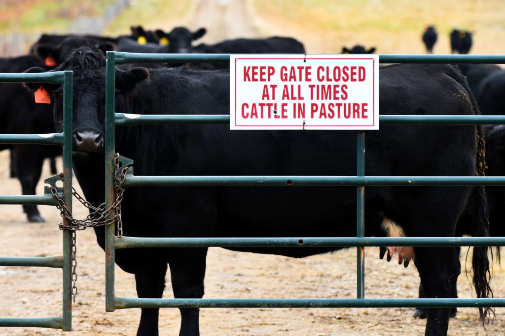 keep gate closed at all times cattle in pasture
