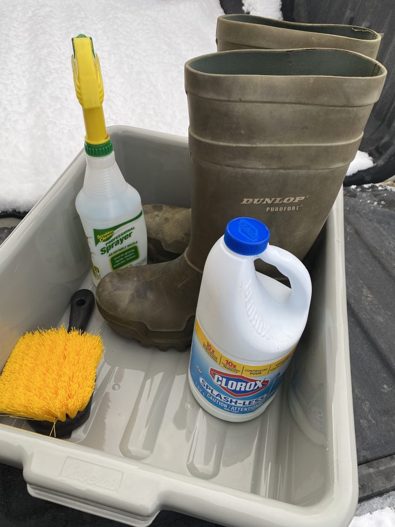 boot cleaning