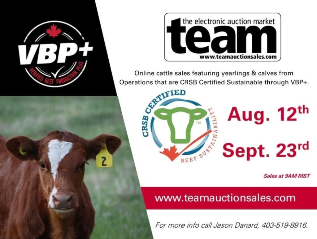 electronic auction mart VBP+