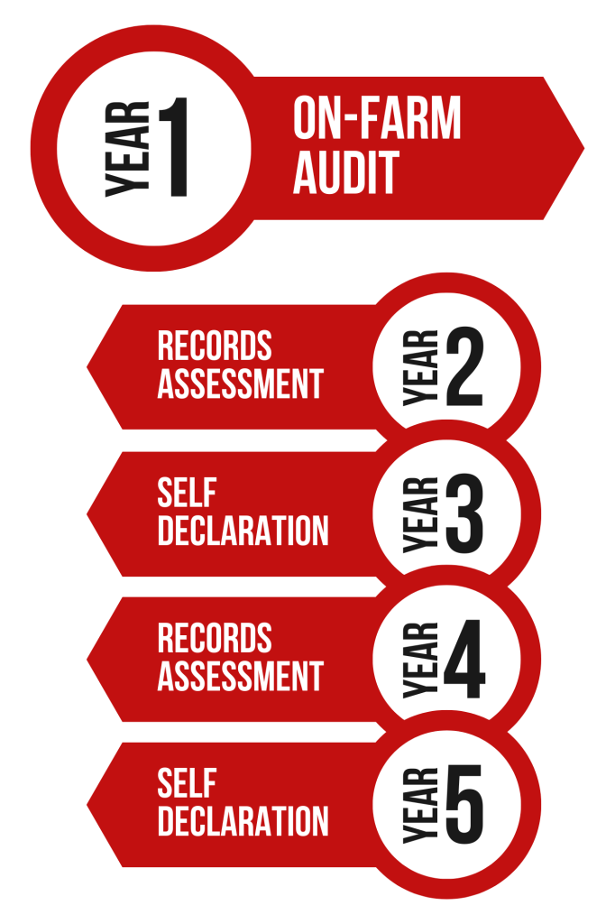 steps on an on-farm audit with VBP+
