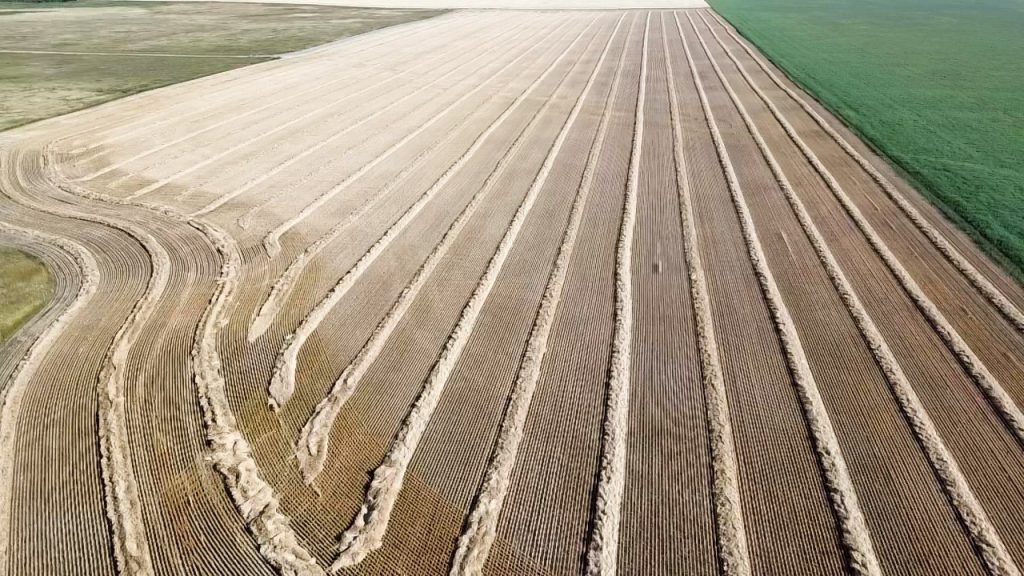 aerial view of swaths
