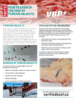 VBP+ penetration of the hide by foreign objects
