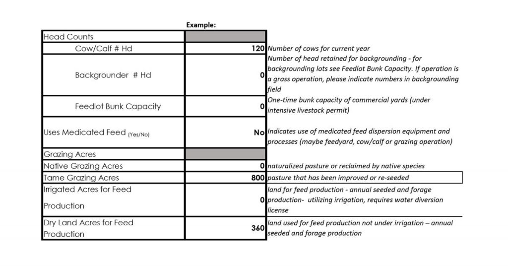 VBP+ record keeping example