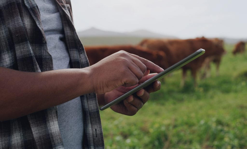 agriculture management with VBP+ online tools