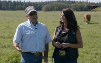 Canadian beef cattle producers with cattle in the background