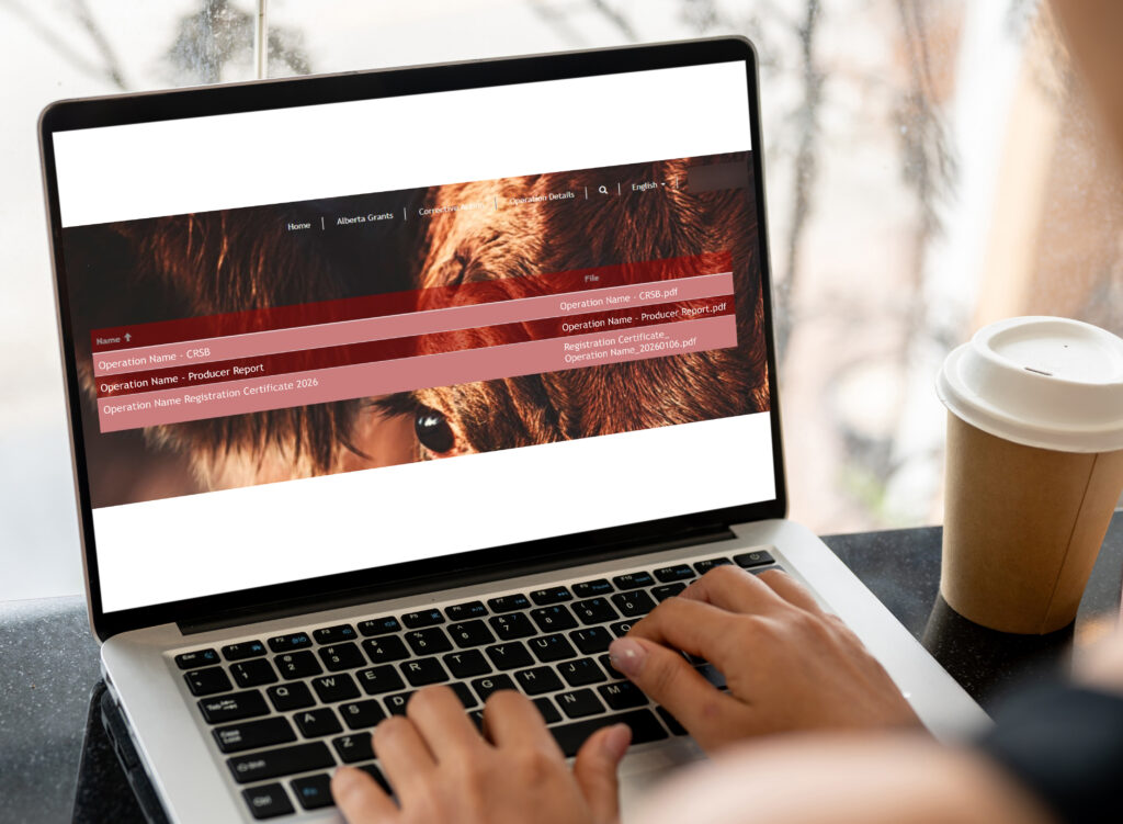 VBP+ producer portal