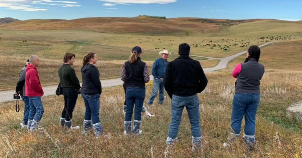 farm biosecurity boot covers on beef cattle farm