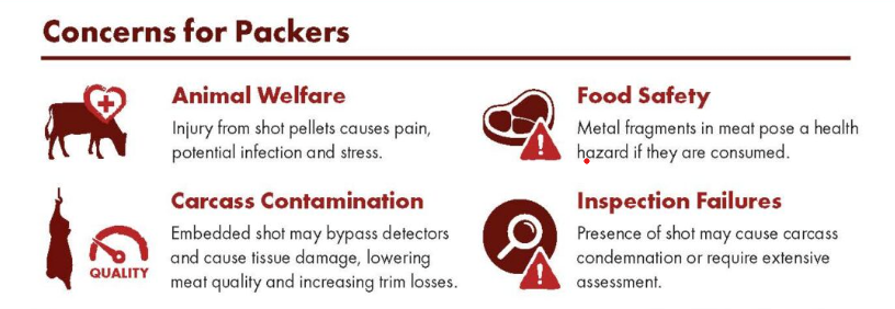 pellet injury concerns for beef packers